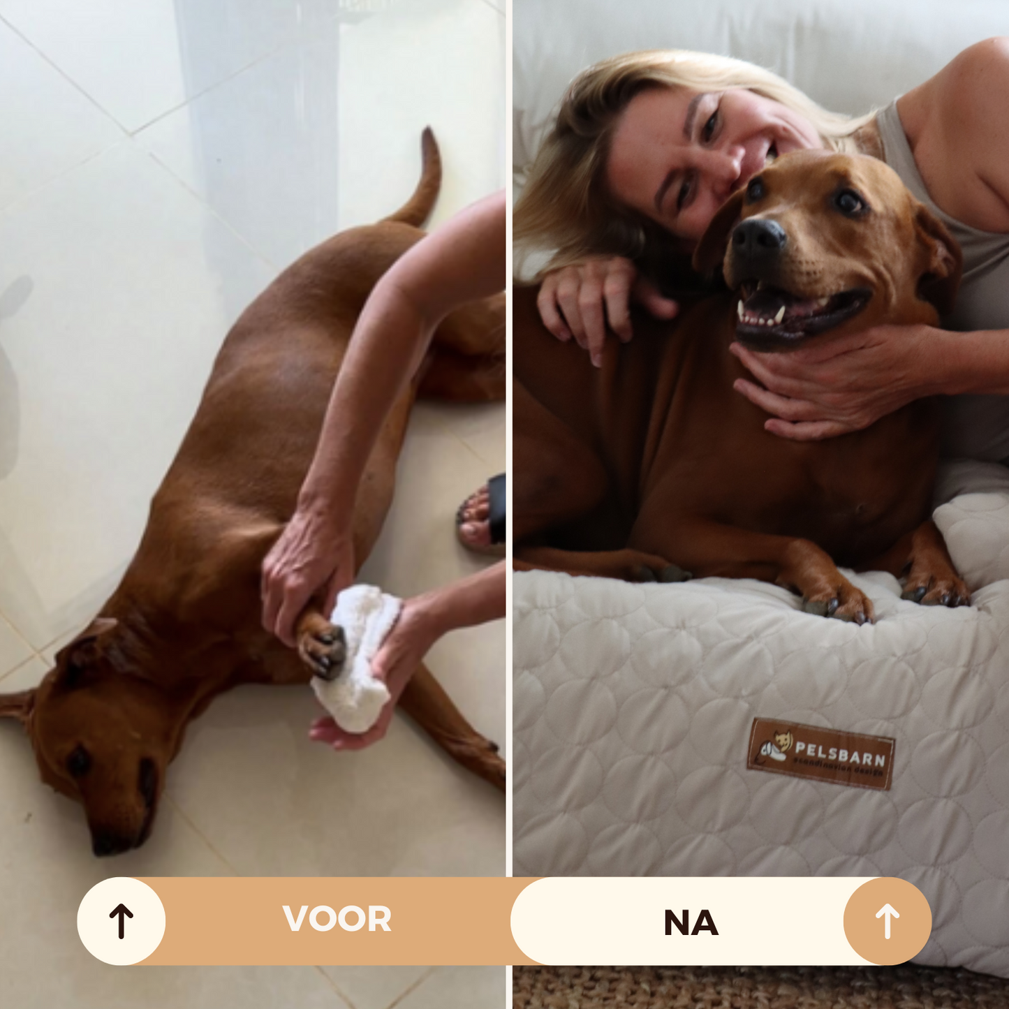 Verkoelend honden bed