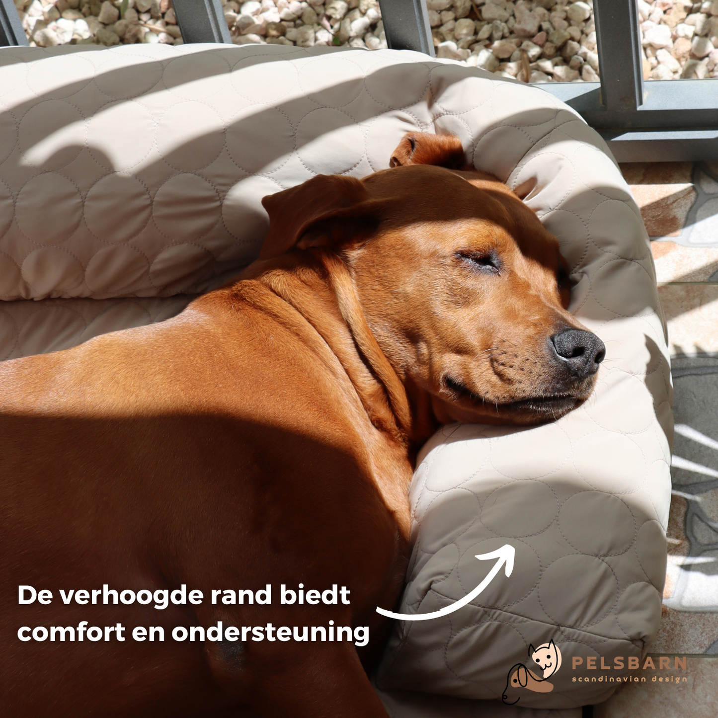 Verkoelend honden bed