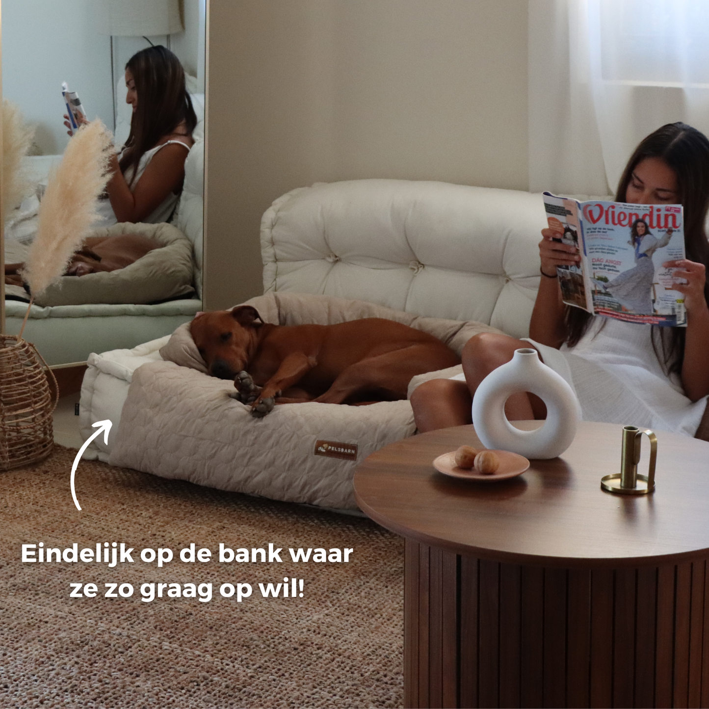 Verkoelend honden bed