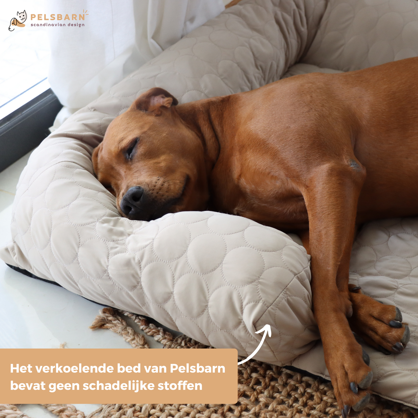 Verkoelend honden bed