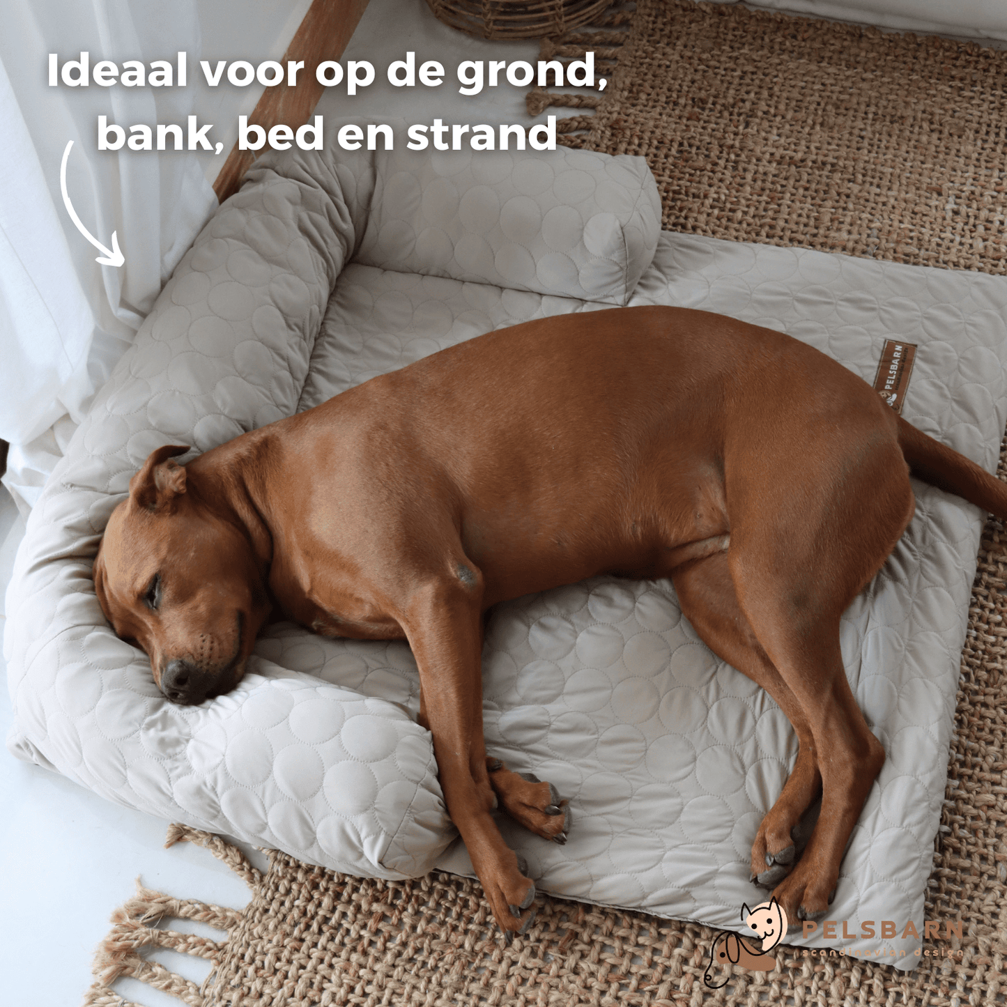 Verkoelend honden bed